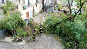 WhatsApp Image 2020-09-28 at 10.59.53