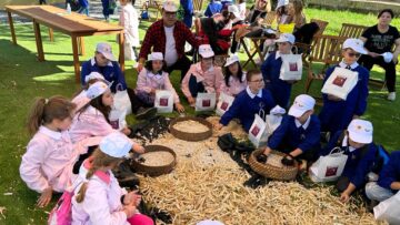 WhatsApp Image 2023-10-31 at 09.27.06