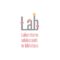 laboratori-adolescenti-in-biblioteca
