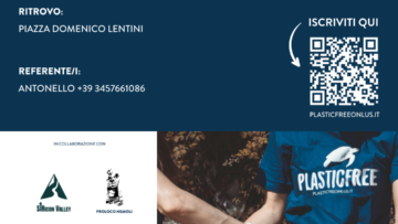 1725285031283_nemoli-(pz)