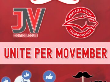 SAVE_20241108_073619