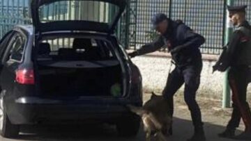 Cinofili in perquisizione